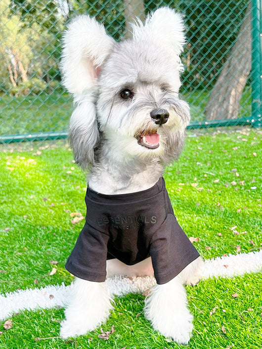 Pet Dog Lo-fi Clothes