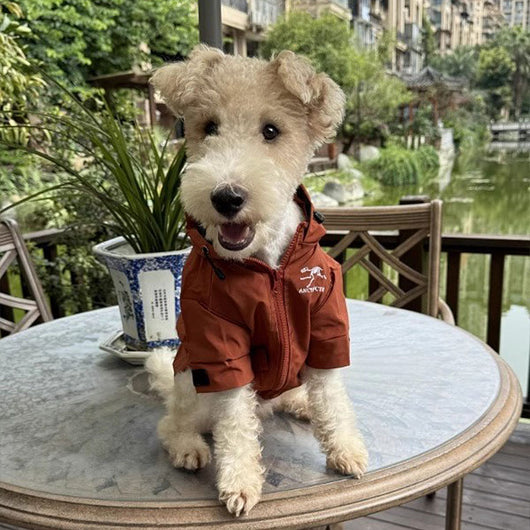 Large Dogs Designer Rain Tactile Jacket