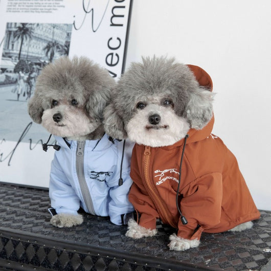 Large Dogs Designer Rain Tactile Jacket