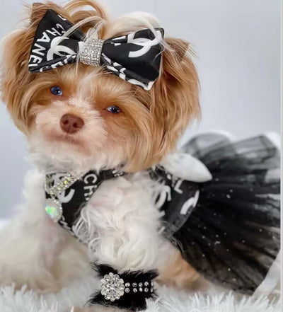 CC Cute Doggo Iconic Dresses