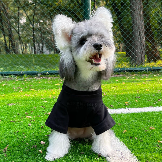 Pet Dog Lo-fi Clothes