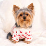 PAWSMOMENT Heart Knit Sweater