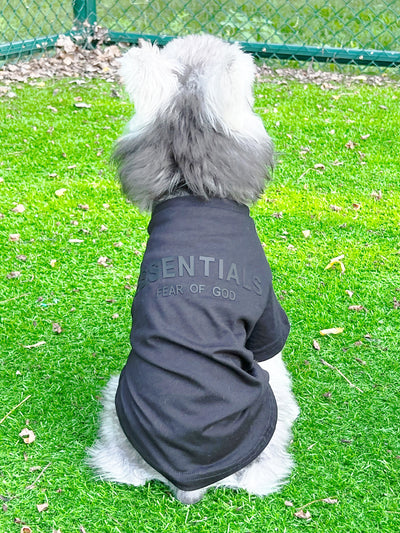 Pet Dog Lo-fi Clothes