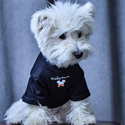 Pet Dog FF Clothes