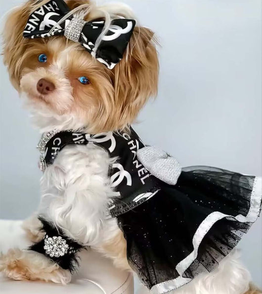 CC Cute Doggo Iconic Dresses