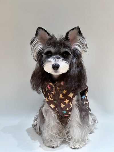 Pet Dog Retro Clothes