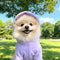 PAWSMOMENT Sun Protection Hoodie