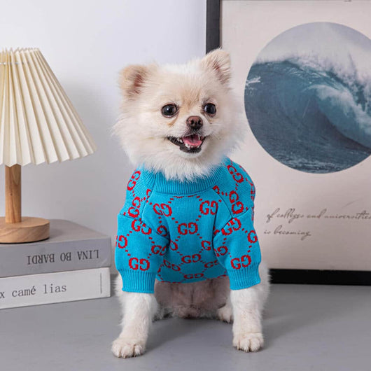 Cute Blue Dog Snatched Sweater