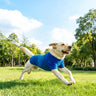 PAWSMOMENT Microplush Sport Tee