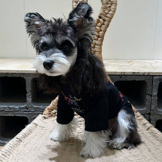 Pet Dog Clean Clothes