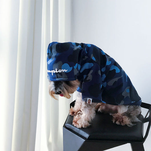 Cute Dog Hoodie For Small Dog