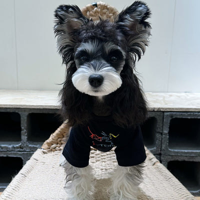 Pet Dog Clean Clothes