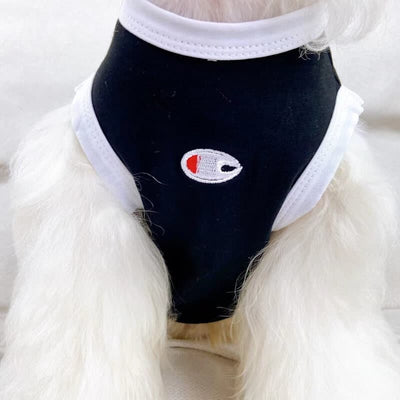 Brand Dog Backspin Clothes