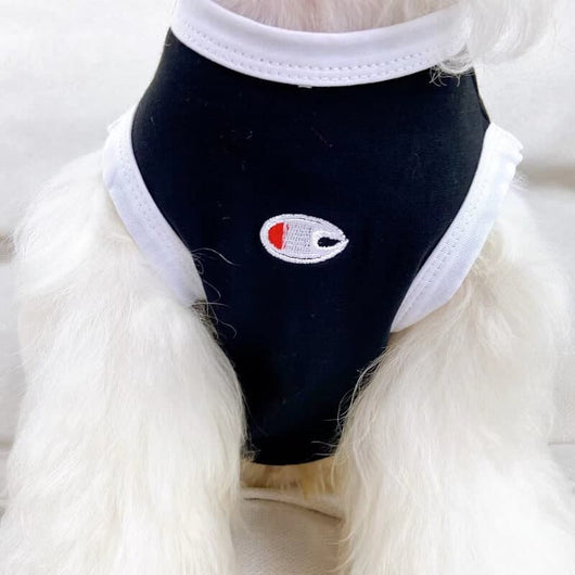 Brand Dog Backspin Clothes