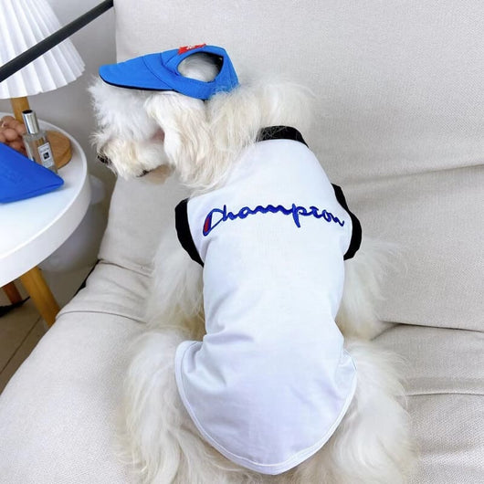 Brand Dog Backspin Clothes