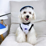Brand Dog Backspin Clothes