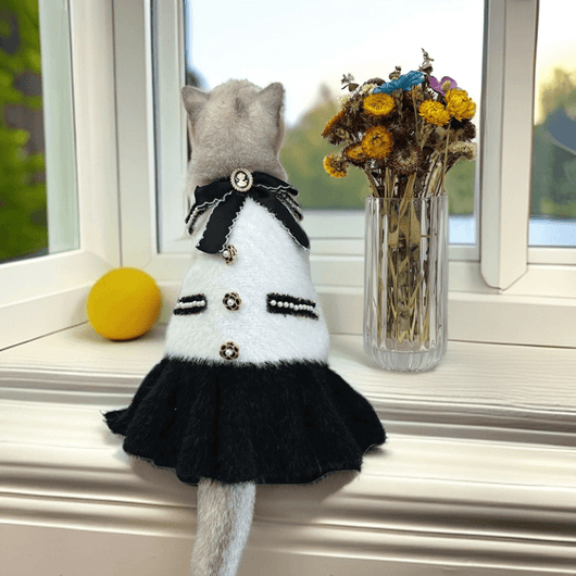 Designer Cat Moody Clothes