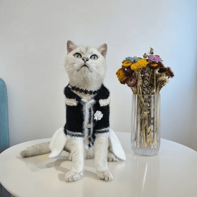 Designer Cat Moody Clothes
