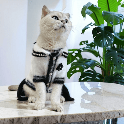 Designer Cat Moody Clothes