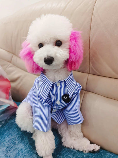 Fashion Dog Moody Shirt