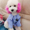 Fashion Dog Moody Shirt
