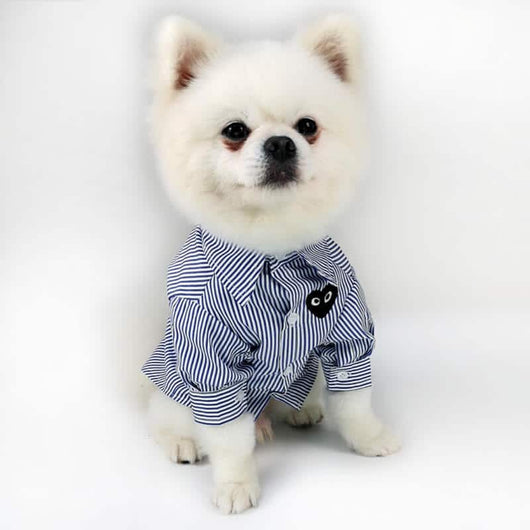 Fashion Dog Moody Shirt