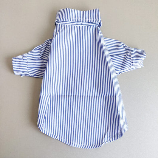 Fashion Dog Moody Shirt