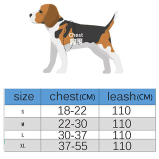 🐕 Dear Doggo Harness - Premium Quality Dog Accessories