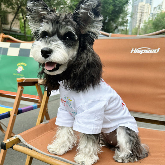 Pet Dog Clean Clothes