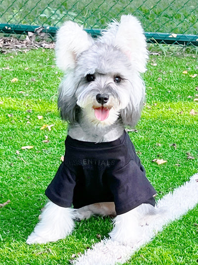 Pet Dog Lo-fi Clothes