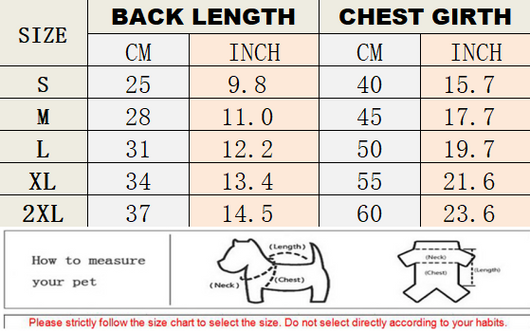 Small Dogs Designer Next Coats