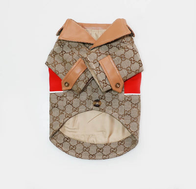 Small Dogs Designer Next Coats