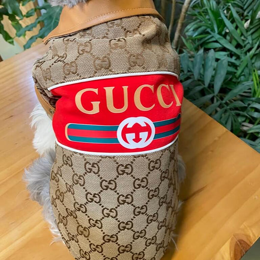 Small Dogs Designer Next Coats