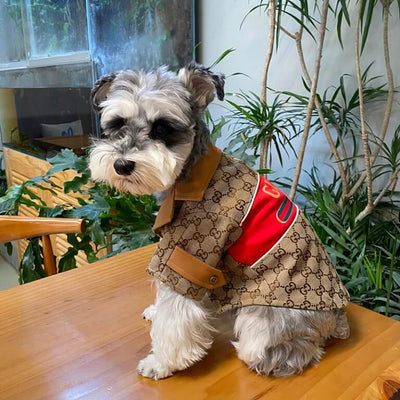 Small Dogs Designer Next Coats