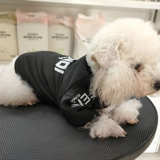 Small Dogs Designer Dog Fancy Coats