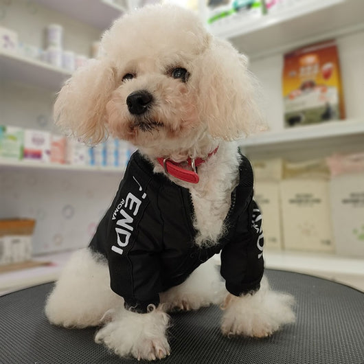 Small Dogs Designer Dog Fancy Coats