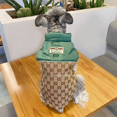 Designer Dog Coats With Golden Leash