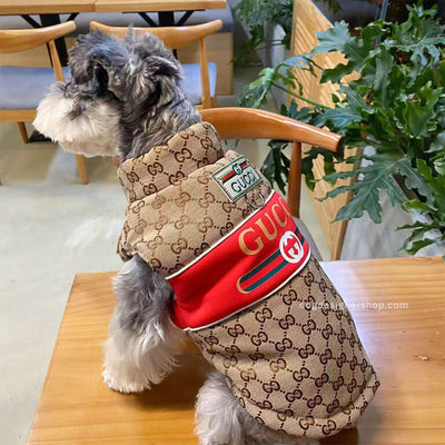 Designer Dog Coats With Golden Leash