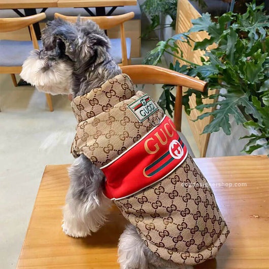Designer Dog Coats With Golden Leash