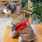 Designer Dog Coats With Golden Leash