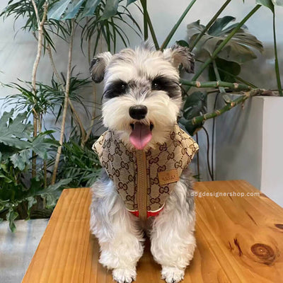 Designer Dog Coats With Golden Leash