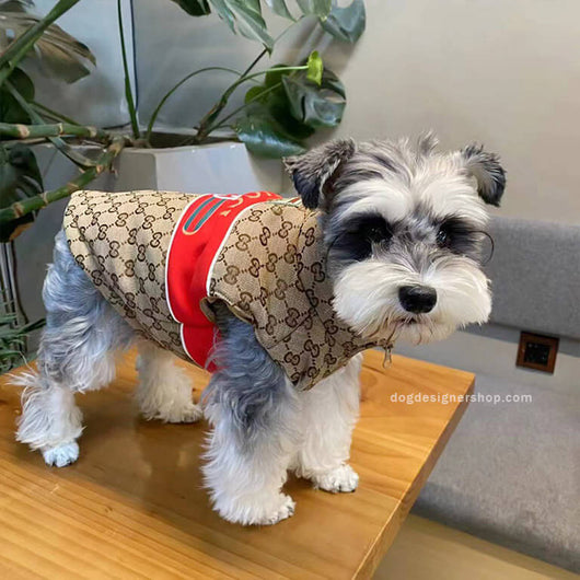 Designer Dog Coats With Golden Leash