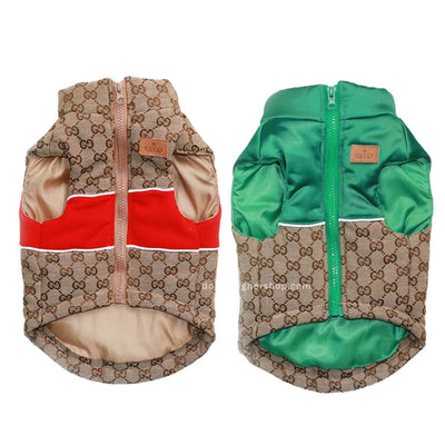 Designer Dog Coats With Golden Leash