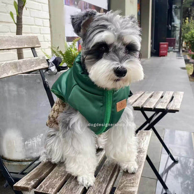 Designer Dog Coats With Golden Leash