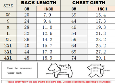 Cozy Winter Designer Dog Outfit