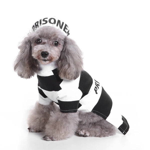 Dog Halloween Hot Costumes