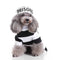 Dog Halloween Hot Costumes