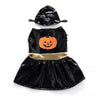 Doggo Pumpkin Adorable Costumes