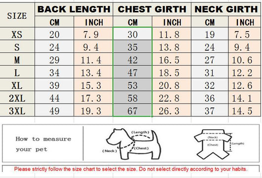 Dog Fashion Banger Clothes