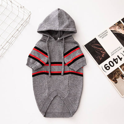 Trendy Dog Fly Hoodies